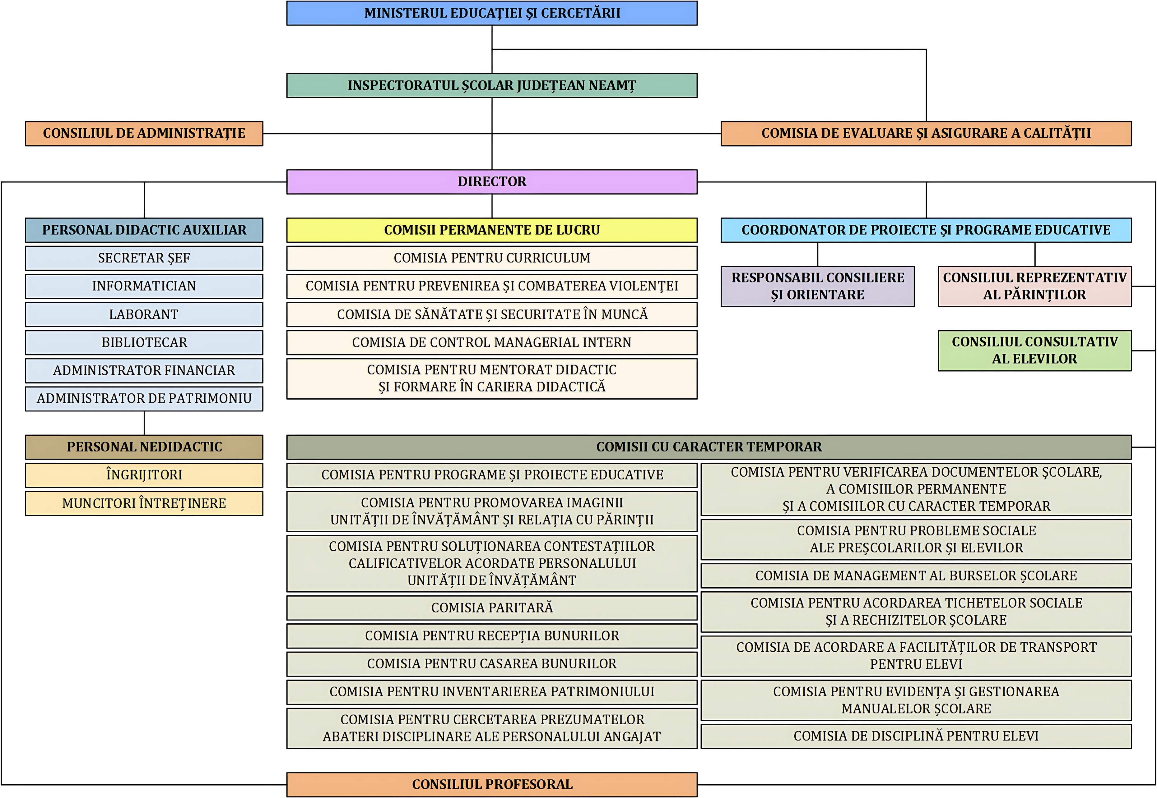 Organigrama Școlii Gimnaziale „Nicu Albu” Piatra Neamț