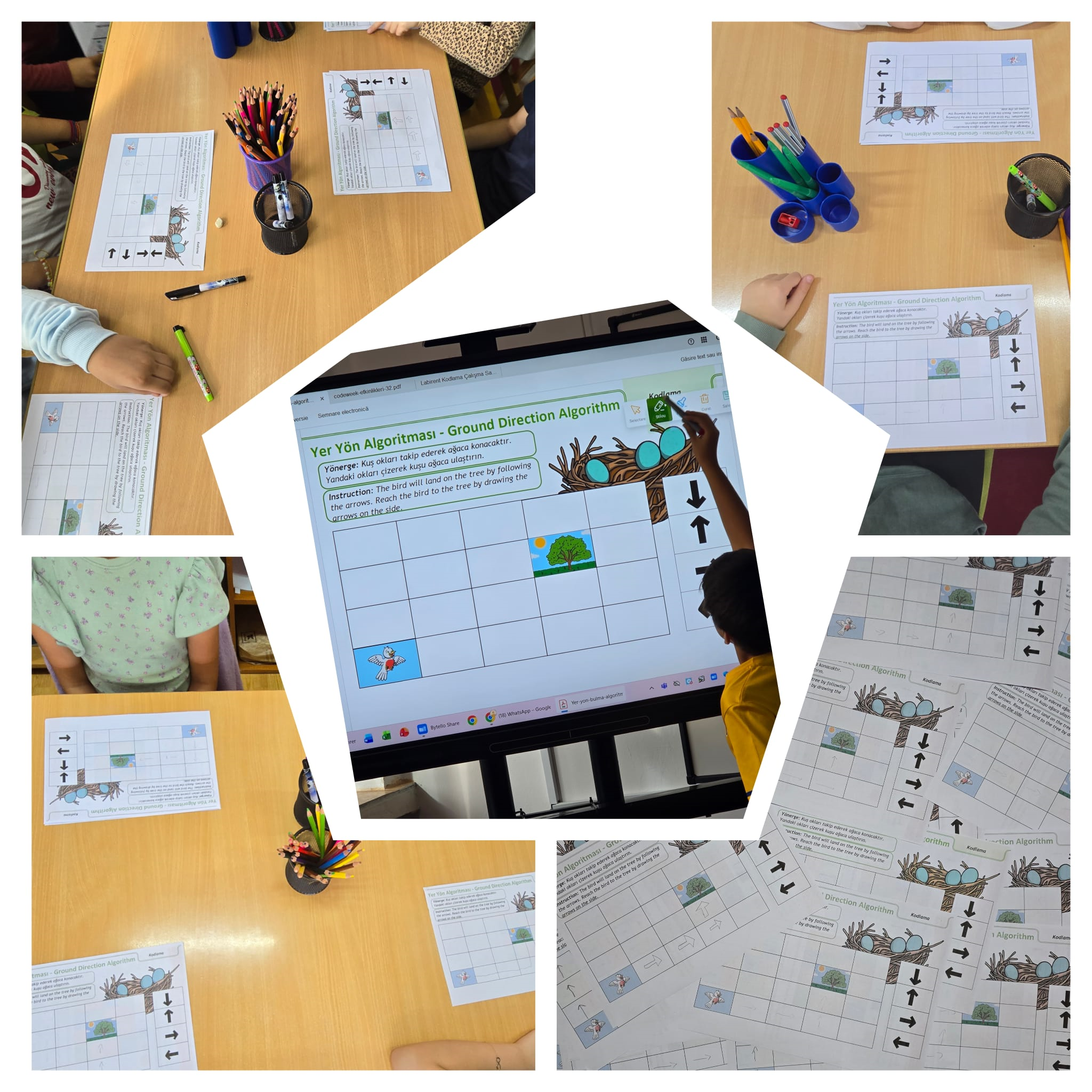 Colaj educațional de fotografii cuprinzând elevi care lucrează în bănci cu fișe educaționale despre „Yer Yön Algoritması – Ground Direction Algorithm” (Algoritm de navigare), o activitate de gândire algoritmică și orientare spațială, imaginile arătând foi de lucru cu grilă, săgeți direcționale (sus, jos, stânga, dreapta), desene cu o pasăre, un copac și un cuib, utilizate pentru exerciții de tip algoritm pentru copii, pe mese sunt suporturi cu creioane colorate, markere și pixuri, iar copiii completează trasee urmând instrucțiuni vizuale, în centru este un ecran interactiv digital pe care este afișată aceeași fișă educațională, iar un elev indică direcțiile pe tablă, imaginea ilustrând o lecție STEM/educație timpurie despre programare de bază, logică, algoritmi și orientare în plan, desfășurată într-un mediu educațional colaborativ