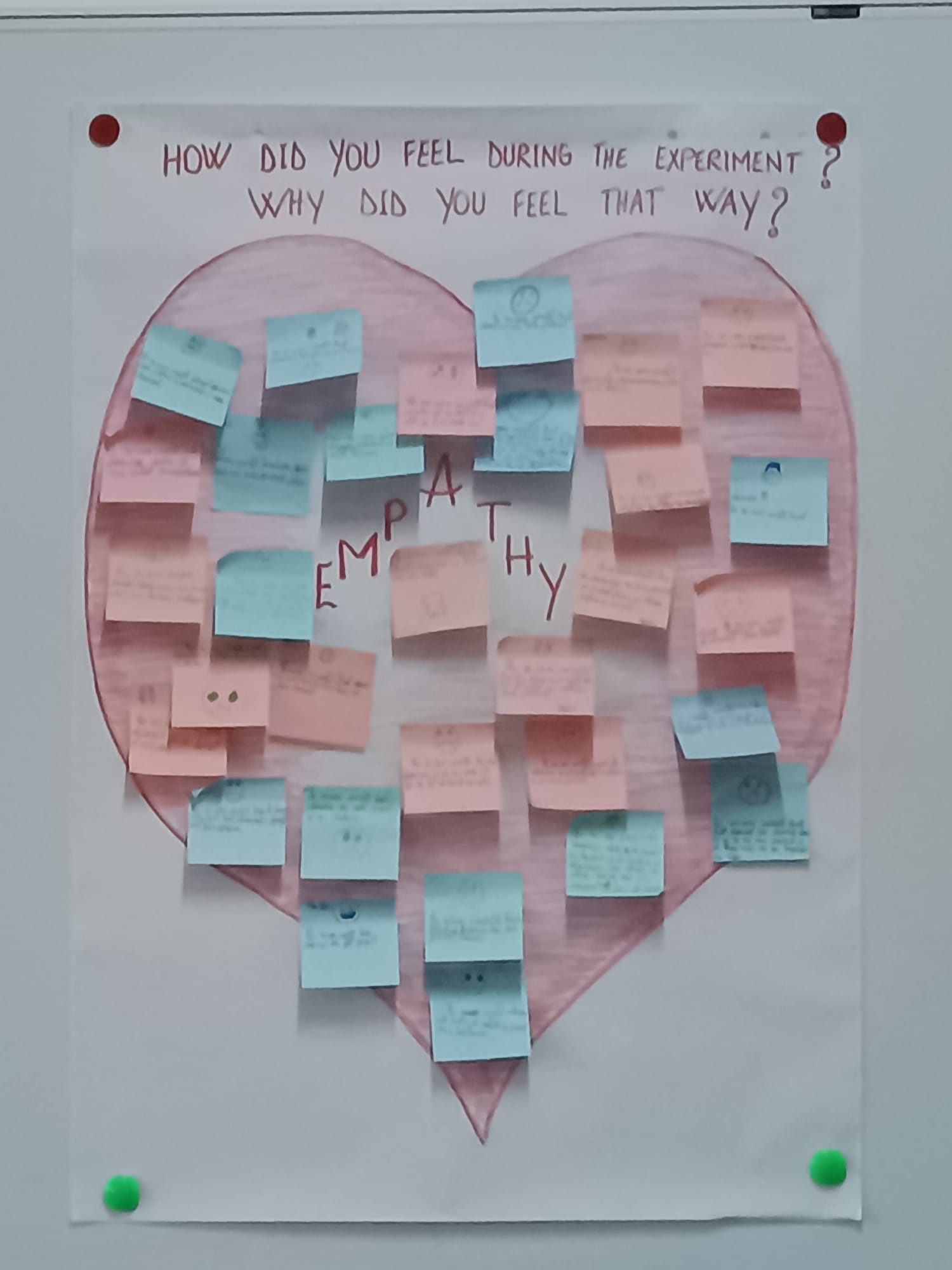 Afiș creat în timpul unei activități la clasă, în care, în partea de sus, este textul, în limba engleză, „HOW DID YOU FEEL DURING THE EXPERIMENT? WHY DID YOU FEEL THAT WAY?” (CUM TE-AI SIMȚIT ÎN TIMPUL EXPERIMENTULUI? DE CE TE-AI SIMȚIT AȘA?), scris pe un panou alb pe care este desenată o inimă mare roz, în centru ei fiind scris cuvântul, în limba engleză, „EMPATHY” (EMPATIE), acoperită cu multe bilețele adezive colorate cu răspunsuri scrise de elevi