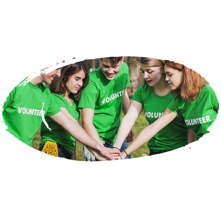 Un grup de tineri îmbrăcați în tricouri verzi cu mesajul „VOLUNTAR” își dau mâinile într-un grup, zâmbind în aer liber, într-o atmosferă optimistă și de colaborare